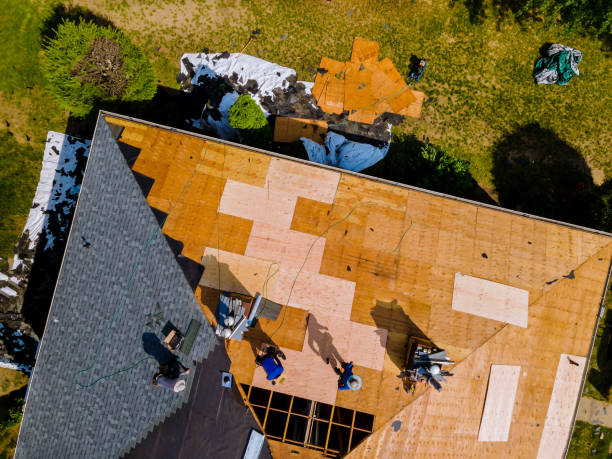 Best Metal Roofing Contractor  in Helemano, HI